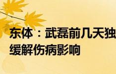 东体：武磊前几天独自潜回上海治疗，尽可能缓解伤病影响