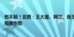 伤不起！北青：王大雷、阿兰、张玉宁、王振澳均出现不同程度伤势