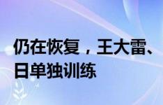 仍在恢复，王大雷、王振澳、张玉宁、武磊今日单独训练