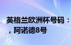 英格兰欧洲杯号码：贝林厄姆10号，萨卡7号，阿诺德8号