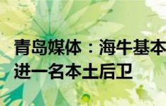 青岛媒体：海牛基本锁定新外援人选，还将引进一名本土后卫