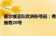 塞尔维亚队欧洲杯号码：弗拉霍维奇7号、米神9号、米林科维奇20号