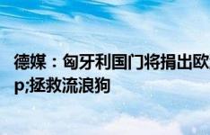 德媒：匈牙利国门将捐出欧洲杯奖金，以支持国内医院&拯救流浪狗