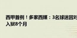 西甲首例！多家西媒：3名球迷因对维尼修斯种族歧视被判入狱8个月