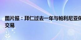 图片报：拜仁过去一年与帕利尼亚保持联系，想在今夏完成交易