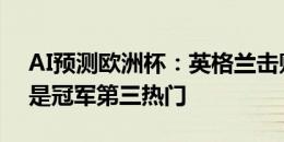 AI预测欧洲杯：英格兰击败法国夺冠，德国是冠军第三热门