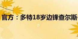 官方：多特18岁边锋查尔斯-赫尔曼加盟门兴