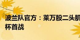 波兰队官方：莱万股二头肌撕裂，将缺席欧洲杯首战