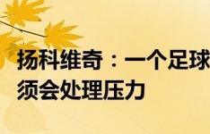 扬科维奇：一个足球教练总要保持平衡，你必须会处理压力