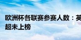 欧洲杯各联赛参赛人数：英意德西法前五，葡超未上榜