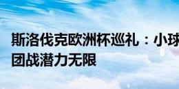 斯洛伐克欧洲杯巡礼：小球队有大格局，中场团战潜力无限