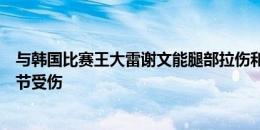 与韩国比赛王大雷谢文能腿部拉伤和韧带扭伤，张玉宁肩关节受伤