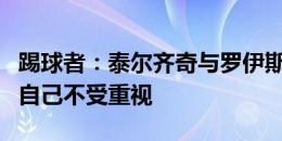 踢球者：泰尔齐奇与罗伊斯、狐媚交恶，认为自己不受重视