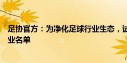 足协官方：为净化足球行业生态，试行中国足协足球行业禁业名单