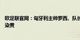 欧足联官网：匈牙利主帅罗西、队长索博斯洛伊最后时刻均染黄