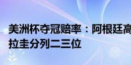 美洲杯夺冠赔率：阿根廷高居第一，巴西、乌拉圭分列二三位