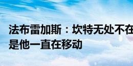 法布雷加斯：坎特无处不在，我喜欢他的地方是他一直在移动