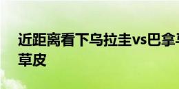 近距离看下乌拉圭vs巴拿马本场比赛场地的草皮