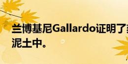 兰博基尼Gallardo证明了刻板印象应该留在泥土中。