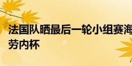 法国队晒最后一轮小组赛海报：球员们眺望德劳内杯