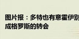 图片报：多特也有意霍伊别尔，但想要首先完成格罗斯的转会