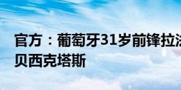 官方：葡萄牙31岁前锋拉法-席尔瓦免签加盟贝西克塔斯