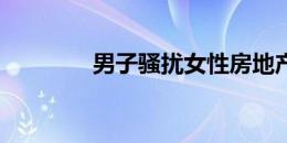 男子骚扰女性房地产经纪人