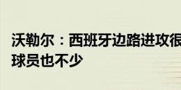 沃勒尔：西班牙边路进攻很快，但德国速度型球员也不少