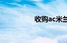 收购ac米兰的中国财团