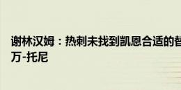 谢林汉姆：热刺未找到凯恩合适的替代者，建议球队考虑伊万-托尼