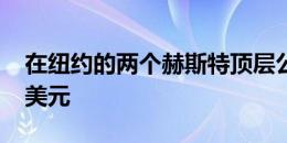 在纽约的两个赫斯特顶层公寓中节省1875万美元