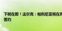 下树在即！法尔克：帕利尼亚将在周三飞往慕尼黑，和拜仁签约