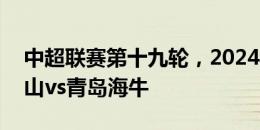 中超联赛第十九轮，2024年7月13日山东泰山vs青岛海牛