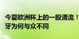 今夏欧洲杯上的一股清流！德拉富恩特的西班牙为何与众不同