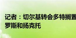 记者：切尔基转会多特搁置，后者优先引进格罗斯和扬克托