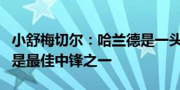 小舒梅切尔：哈兰德是一头野兽，他毫无疑问是最佳中锋之一