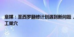 意媒：圣西罗翻修计划遇到新问题，议员要求为候鸟提供人工巢穴