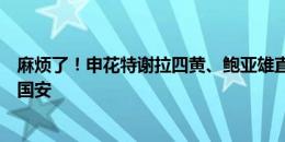 麻烦了！申花特谢拉四黄、鲍亚雄直红，双双缺席下轮客战国安