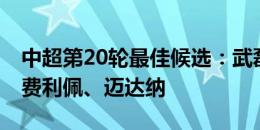 中超第20轮最佳候选：武磊、加西亚、谭龙、费利佩、迈达纳