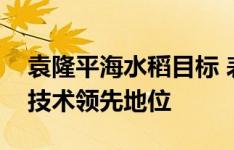 袁隆平海水稻目标 表示抢占国际盐碱地利用技术领先地位