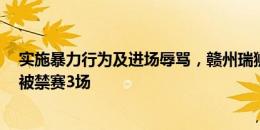 实施暴力行为及进场辱骂，赣州瑞狮球员被禁赛4场、官员被禁赛3场