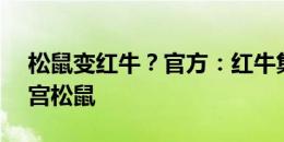 松鼠变红牛？官方：红牛集团收购J3球队大宫松鼠