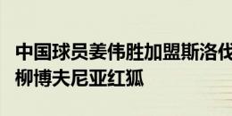 中国球员姜伟胜加盟斯洛伐克乙级联赛球队旧柳博夫尼亚红狐