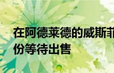 在阿德莱德的威斯菲尔德马里昂 有一半的股份等待出售