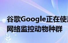 谷歌Google正在使用庞大的野生动物摄影机网络监控动物种群