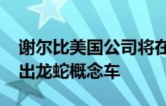 谢尔比美国公司将在2019年SEMA展会上推出龙蛇概念车