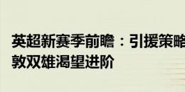 英超新赛季前瞻：引援策略很有针对性，北伦敦双雄渴望进阶