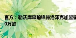 官方：勒沃库森前锋赫洛泽克加盟霍芬海姆 据悉转会费1800万欧