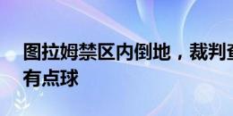 图拉姆禁区内倒地，裁判查看VAR后判罚没有点球