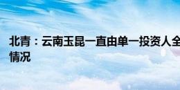 北青：云南玉昆一直由单一投资人全资投入 从未发生过欠薪情况